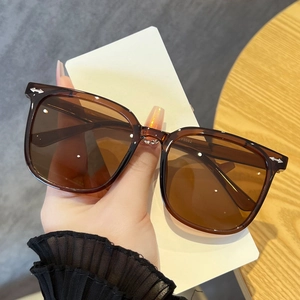 Macro detail of tortoiseshell sunglasses frame with silver arrow rivets and tinted lenses