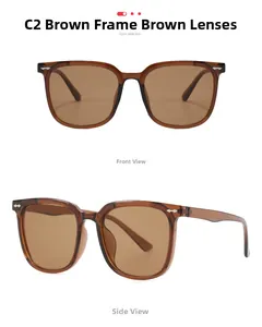 Detail of tea brown frame sunglasses with metallic arrow accents and gradient lenses