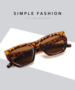 Detail view of stylish tortoiseshell polygon sunglasses with dark brown lenses