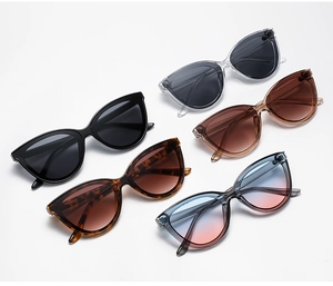 Collection of oversized cat eye sunglasses in black, tortoiseshell, and gradient colors