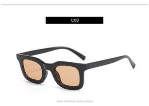 Vue détaillée de lunettes de soleil écailles élégantes avec verres bruns et monture épaisse