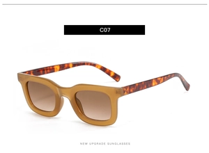 Détails des branches en écaille et verres dégradés bruns sur lunettes de soleil