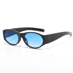 Lunettes De Soleil Ovales Vintage Rétro Monture En Résine Verres PC Protection UV400 Lunettes De Mode Pour Femmes Hommes