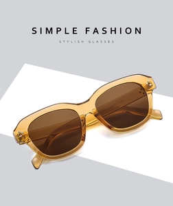 Macro shot of amber tortoiseshell sunglasses frame with dual metal rivets and silver hinges