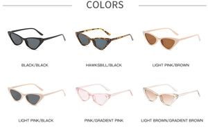 Detailed grid of cat-eye sunglasses in various colors including black and tortoiseshell