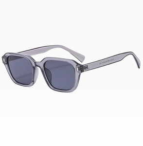 Détail des lunettes de soleil grises translucides montrant la taille 54□20-145