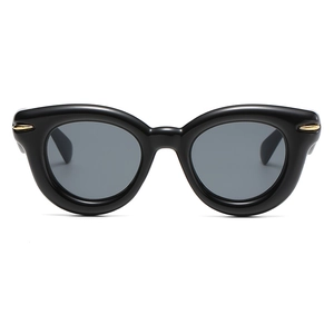 Retro thick frame oval sunglasses with sleek gold decorative accents on the temples