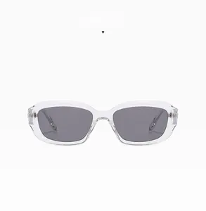 Detail of vintage transparent sunglasses with light smoke lenses and metal hinges