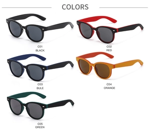 Detailansicht von fünf Farbvarianten der klassischen ovalen Nietensonnenbrille