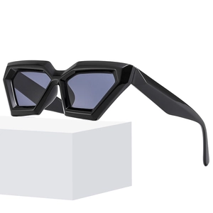 Geometric Cat Eye Sunglasses PC Frame AC Lens Thick Edge UV400 Protection Fashion Street Style For Women Men
