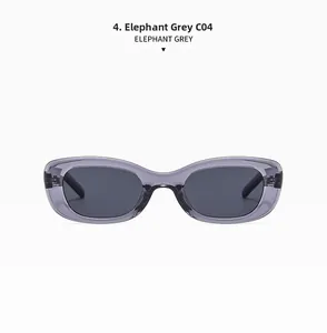 Vue détaillée de lunettes de soleil ovales rétro de couleur gris éléphant translucide