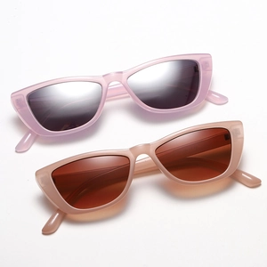 Pair of trendy cat-eye sunglasses in transparent lavender and light brown frames