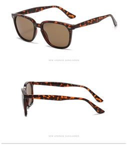 Detail view of classic tortoiseshell sunglasses with brown lenses and sleek side arms
