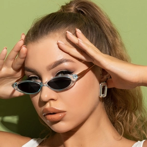 Retro Small Cat Eye Sunglasses Transparent PC Frame Metal Temples Vintage Fashion Eyewear For Men Women UV400