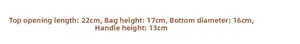Detailed dimension guide for woven basket bag showing height 17cm and top width 22cm