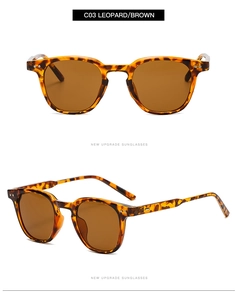 Lunettes de soleil rétro léopard avec verres bruns et détails métalliques sur la monture