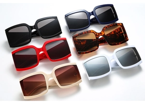 Collection de lunettes de soleil carrées rétro en noir, bleu, rouge, tortue et crème