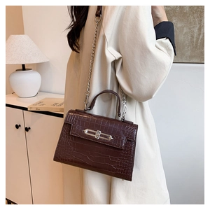 Close-up of dark brown crocodile pattern handbag featuring a silver rectangular metal lock