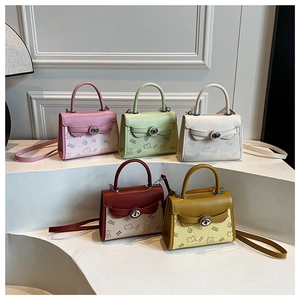 Five assorted colors of small square crossbody bags with cartoon embossing and metal locks
