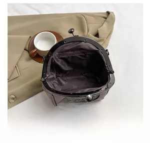 Detail show of shell bag interior with zipper pocket and metal kiss lock frame