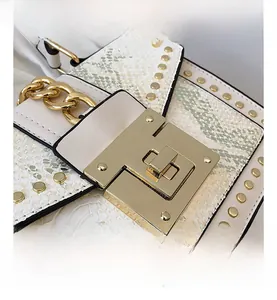 Detail shot of the polished golden metal clasp and snake pattern white leather bag