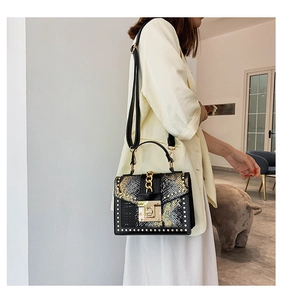 Fashionable black leather crossbody square bag with snake print and gold studs worn by model