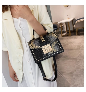 Detailed view of snake print leather crossbody bag with gold studs and chain decoration