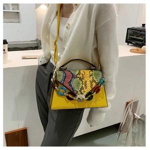 Close-up of yellow trapezoid bag featuring rainbow snakeskin flap and acrylic chain