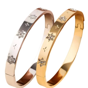 Titanium steel bangles in silver and rose gold with star shaped zircon inlays