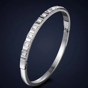 Minimalist Oval Bangle Bracelet Stainless Steel Rectangular Cubic Zirconia Inlaid Hinge Clasp Luxury Women Jewelry