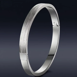 Minimalist Stainless Steel Bangle For Men And Women Brushed Polished Titanium Steel Oval Hinge Clasp Bracelet Jewelry