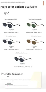 Catalogue détaillé de lunettes de soleil ovales polarisées avec branches en acier inoxydable