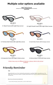 Collection de lunettes de soleil ovales polarisées en diverses couleurs pour la mode