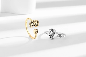Macro shot of gold and silver snake rings with traditional fortune bag detail on white background