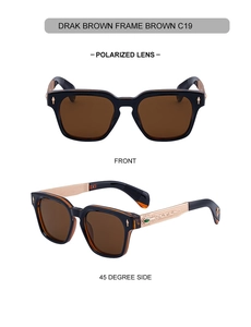 Detailed macro view of dark brown polarized sunglasses with golden baroque engraved temples