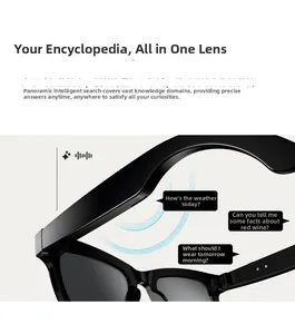 Detail view of smart glasses featuring integrated AI voice interaction and search function