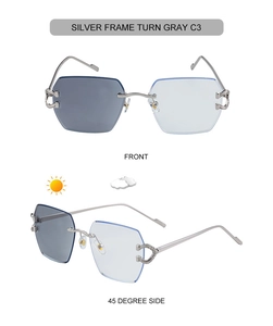 Detail of rimless photochromic sunglasses with silver frames and crystal C-decor hinges