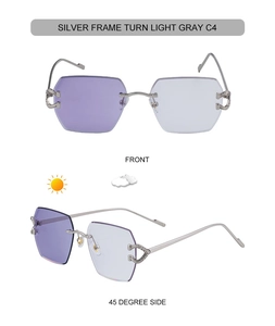 Detail of silver frameless sunglasses featuring C-shaped crystal hinge and photochromic lenses