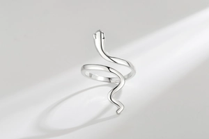 Macro shot of silver snake ring featuring sleek polished metal and spiral body