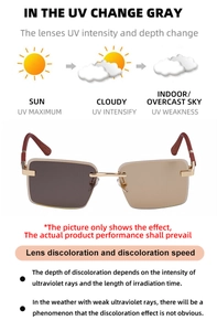 Detail showing square photochromic lenses transitioning from light brown to dark gray