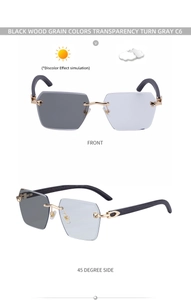Detail of photochromic lenses and golden panther hardware on wood-grain temples