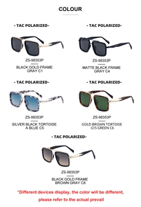 Detailed grid of retro double-bridge polarized square sunglasses in various lens colors