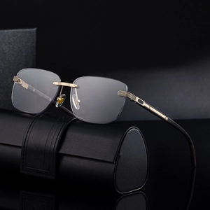 Frameless photochromic sunglasses with wood grain temples and gold metal accents