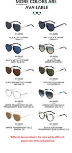 Catalogue détaillé présentant dix variantes de couleurs pour lunettes pilote à double pont