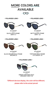 Polarized pilot sunglasses display in black, tortoiseshell and gold metal frames