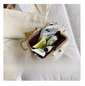 Capacity display of champagne lace frame bag with gold chain and interior compartments