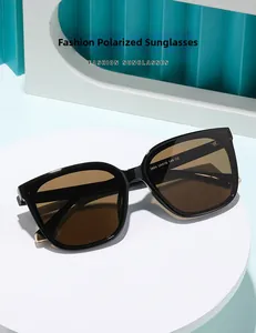 Close-up of black oversized polarized sunglasses with gold metal hinges and specs detail