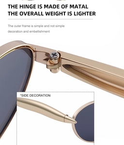 Detail of reinforced metal hinges and streamlined temple design on oval sunglasses