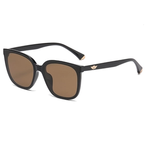Modern square polarized sunglasses with black frames, brown lenses and gold wing accents
