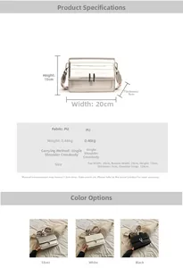 Detailed size chart and specifications for chic square crossbody bag with metallic finish